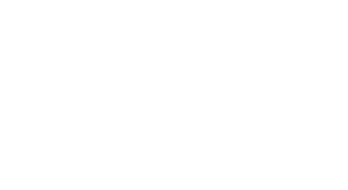 lilley international logo white