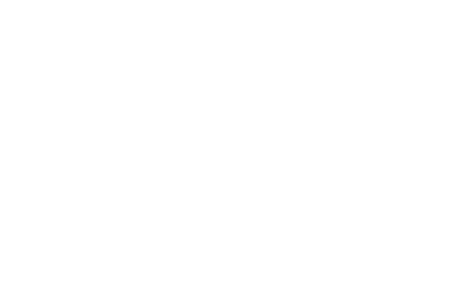 Lilly_Logo_White